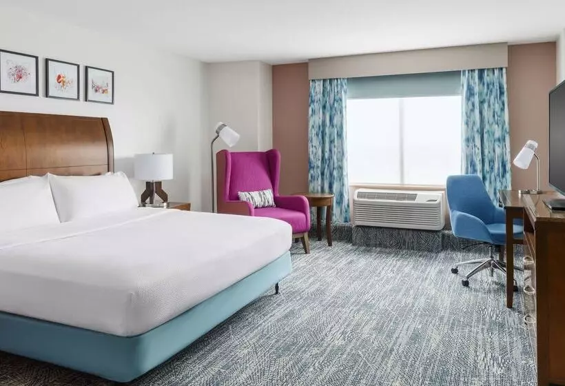 هتل Hilton Garden Inn Orlando At Seaworld