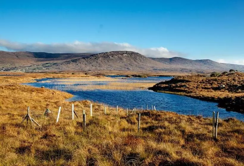 Отель Peacockes