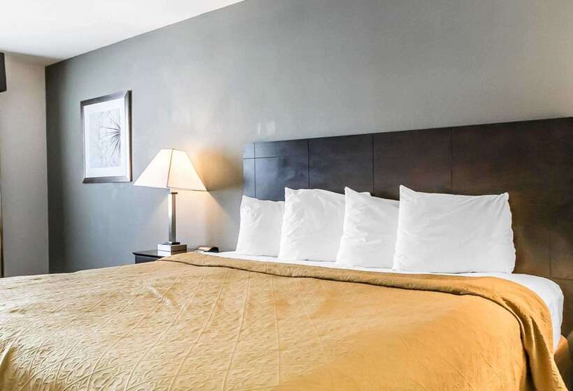 호텔 Quality Inn & Suites University Airport