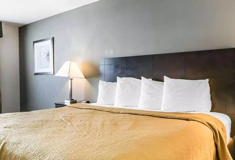 Hotel Quality Inn & Suites University Airport