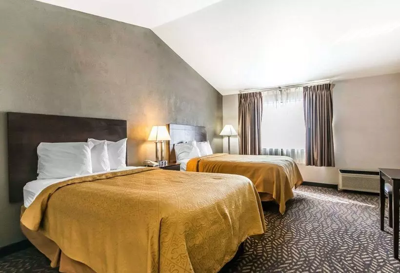 Hotel Quality Inn & Suites University Airport