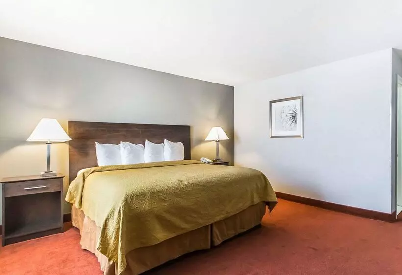 Hotel Quality Inn & Suites University Airport