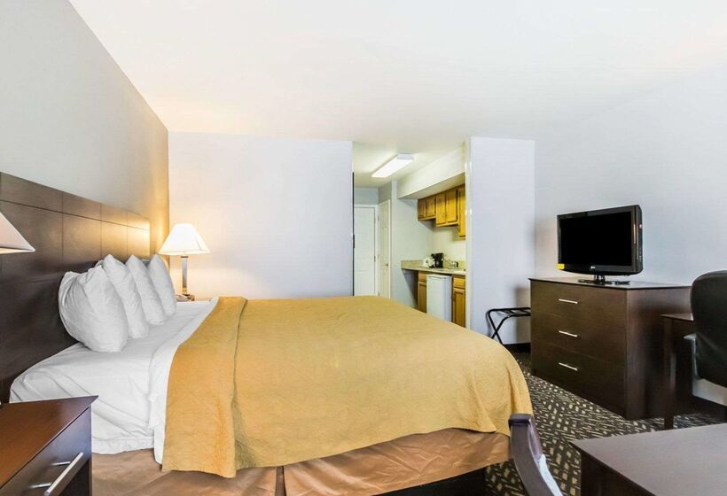 호텔 Quality Inn & Suites University Airport