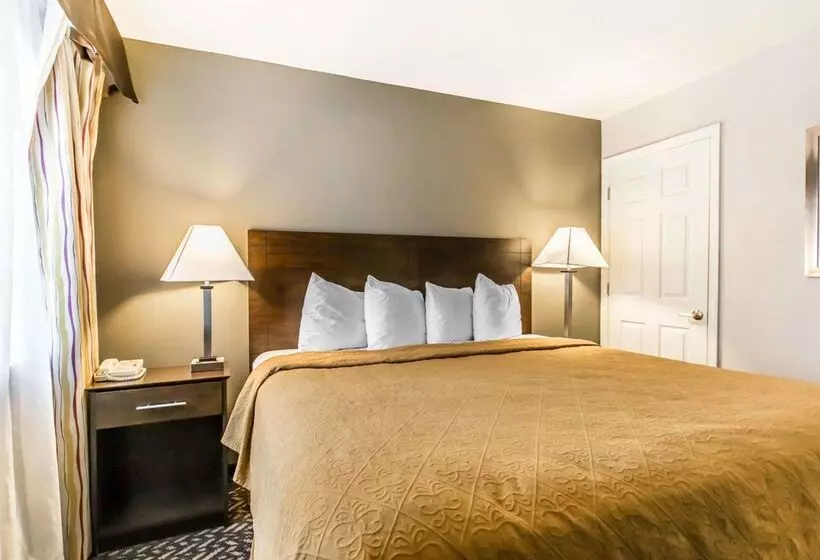 Hotel Quality Inn & Suites University Airport
