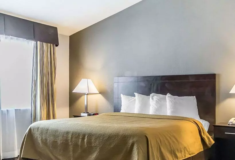 Hotel Quality Inn & Suites University Airport