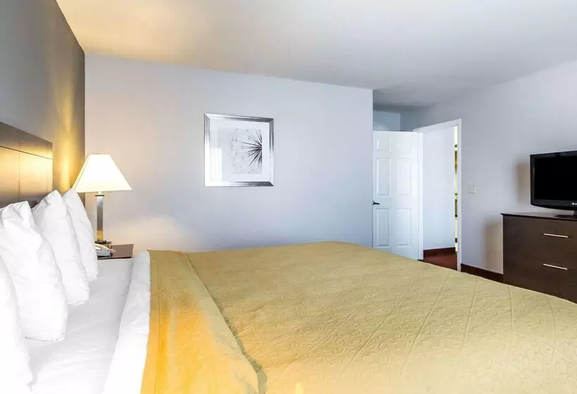 Hotel Quality Inn & Suites University Airport