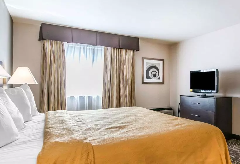 Hotel Quality Inn & Suites University Airport