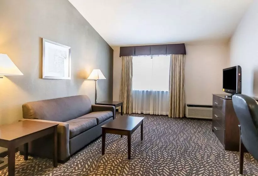 Hotel Quality Inn & Suites University Airport