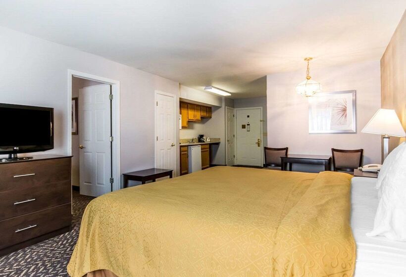 호텔 Quality Inn & Suites University Airport