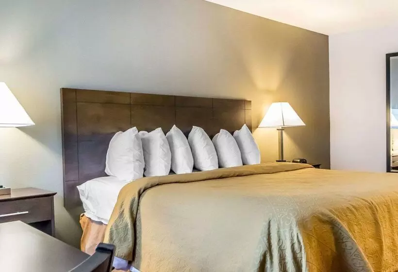 Hotel Quality Inn & Suites University Airport