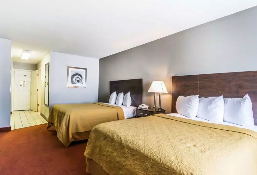 Hotel Quality Inn & Suites University Airport