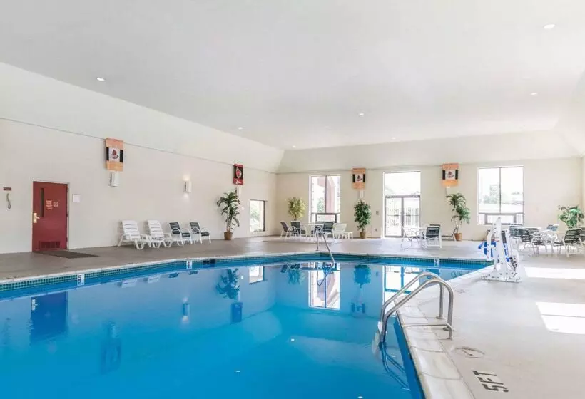 Hotel Quality Inn & Suites University Airport