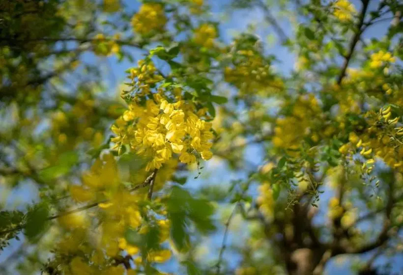 Отель Pier House