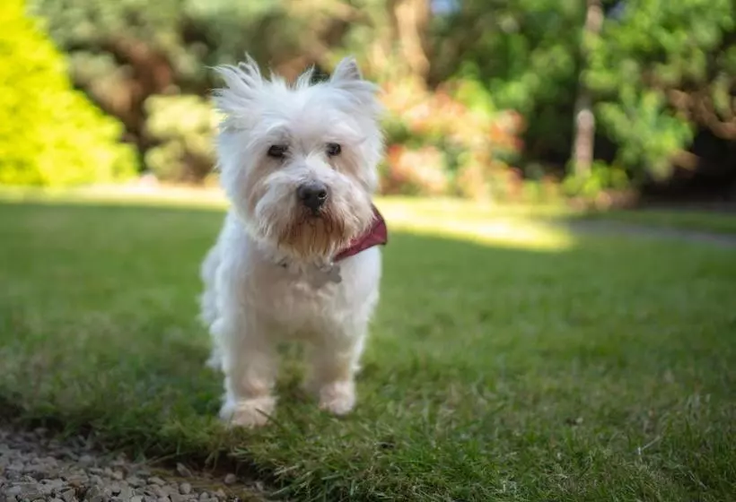 Отель Pier House