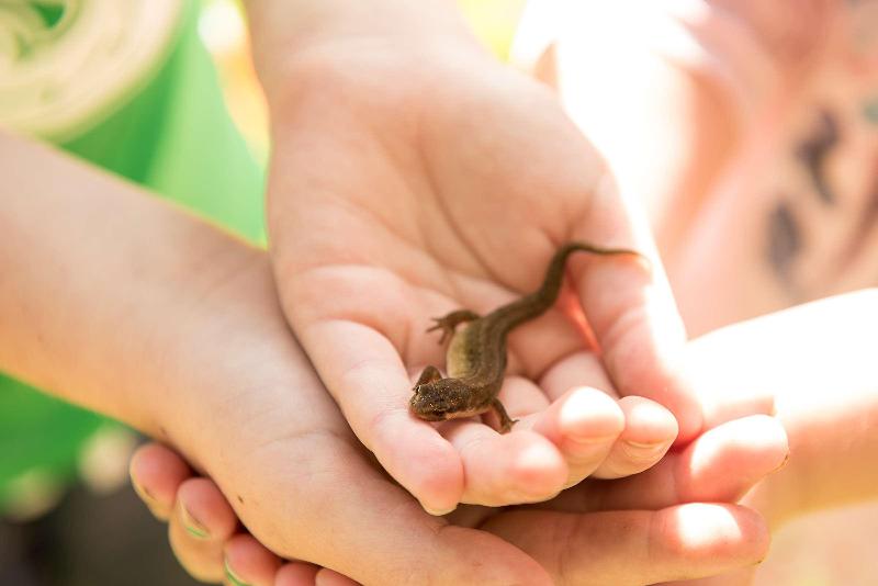 Radisson Blu Hotel And Spa, Limerick