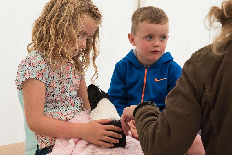 Radisson Blu Hotel And Spa, Limerick