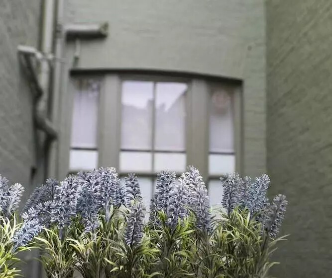 Vancouver Hotel And Studios