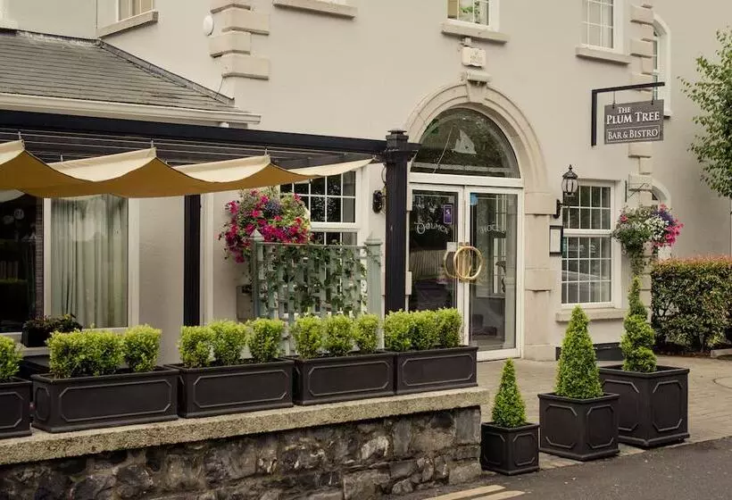 Woodford Dolmen Hotel Carlow