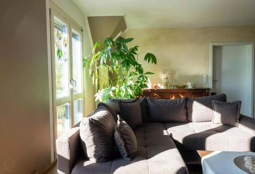 Retkeilymaja Die Triniushütte Thüringens Schönste Aussicht