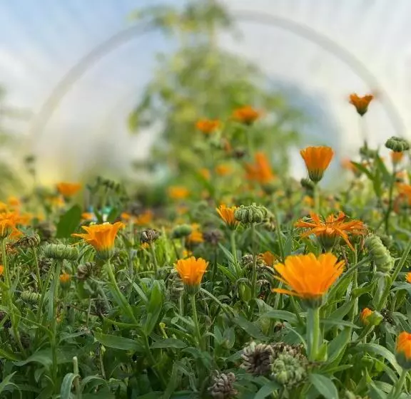 ユースホステル The Talbot At Knightwick