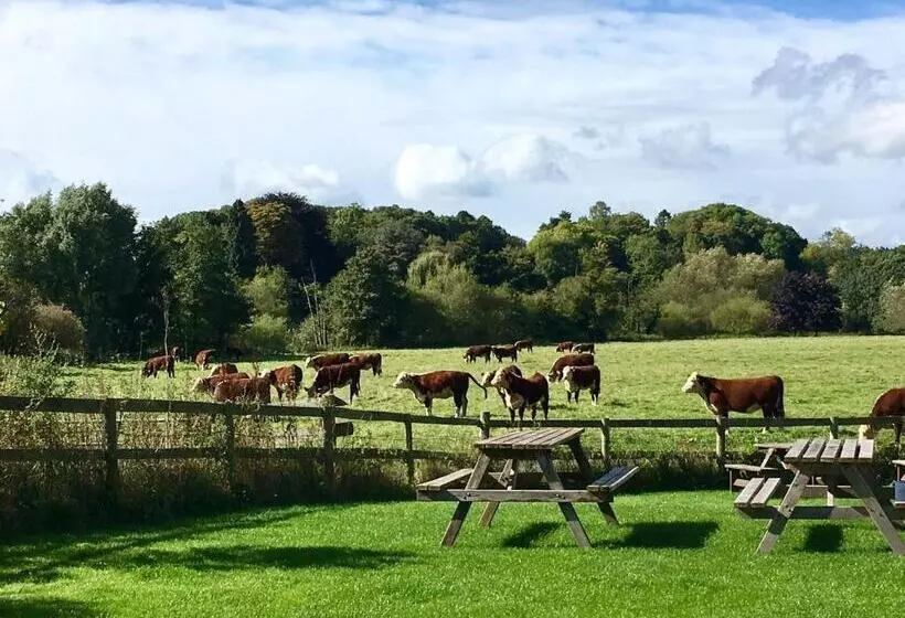 ユースホステル The Talbot At Knightwick