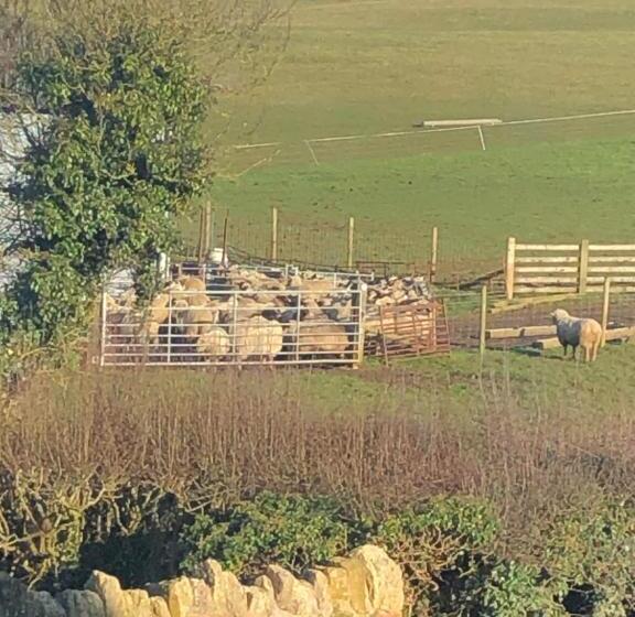 Bed and Breakfast Astwell Mill