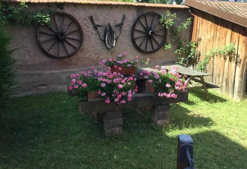 Bed and Breakfast Maison D Hôtes Douce Nuit