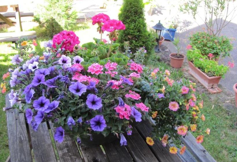 مبيت وإفطار Maison D Hôtes Douce Nuit