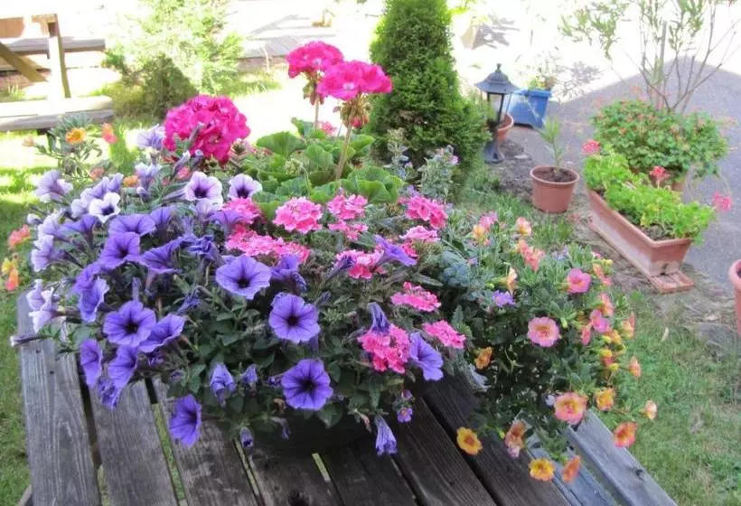 Bed and Breakfast Maison D Hôtes Douce Nuit