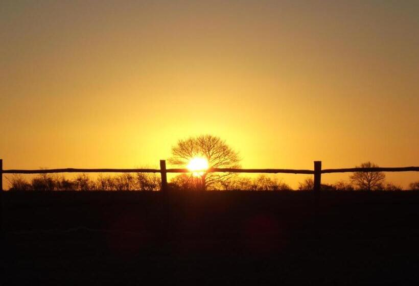 ベッドアンドブレックファースト The Suites At Pannells Ash