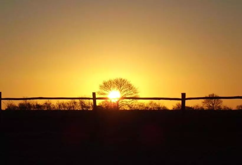 Aamiaismajoitus (B&B) The Suites At Pannells Ash
