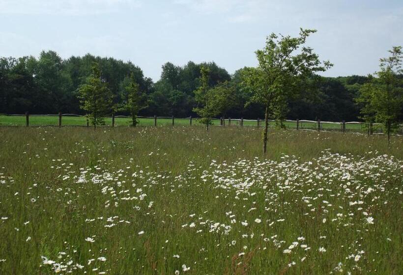 ベッドアンドブレックファースト The Suites At Pannells Ash