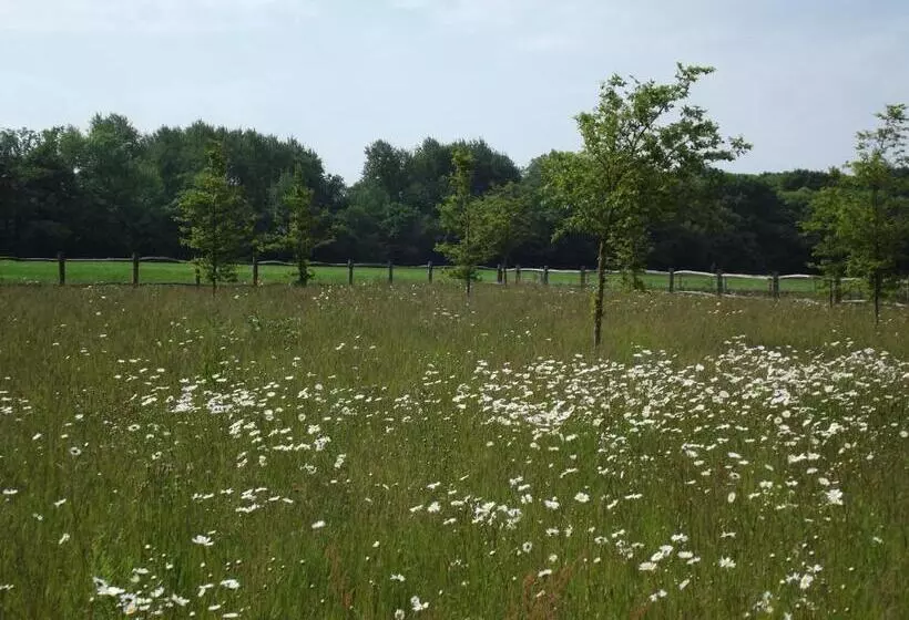 Aamiaismajoitus (B&B) The Suites At Pannells Ash