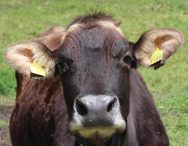 Hotel Agriturismo Al Marter