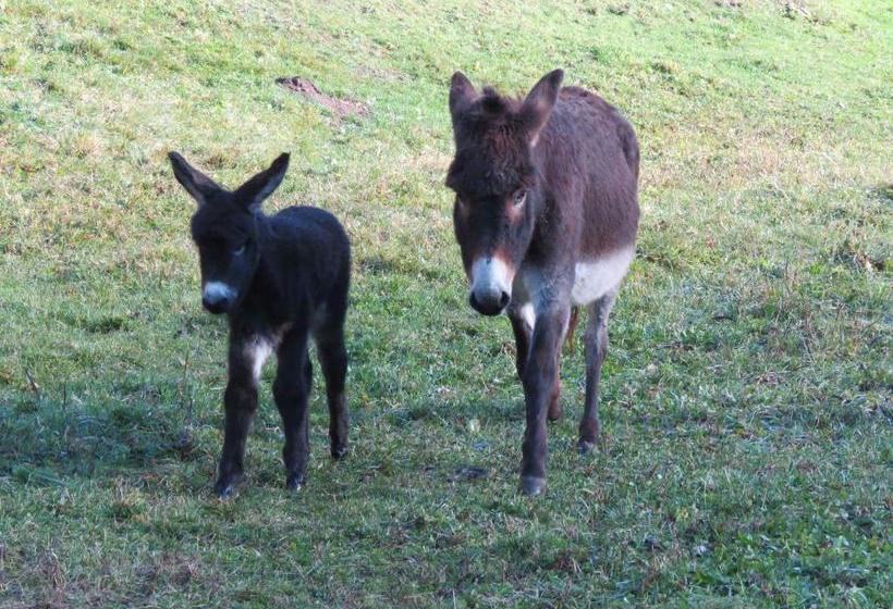 Hotel Agriturismo Al Marter
