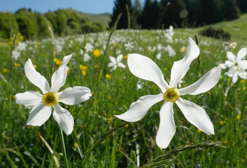 Hotel Agriturismo Al Marter