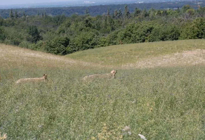 ホテル Agriturismo Azienda Agricola Miranti