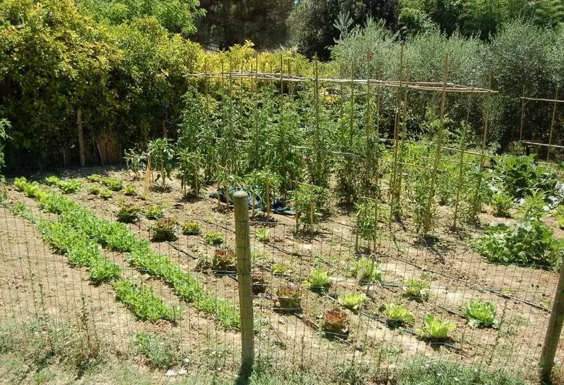 Hotelli Agriturismo Casale Dei Frontini