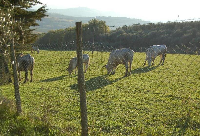 酒店 Agriturismo Casale Dei Frontini