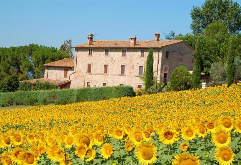 酒店 Agriturismo Casale Dei Frontini