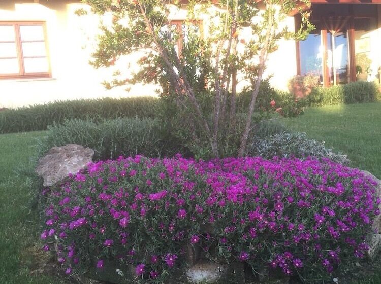 ホテル Agriturismo Le Rondinelle