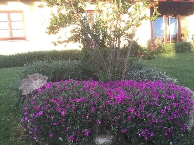 ホテル Agriturismo Le Rondinelle