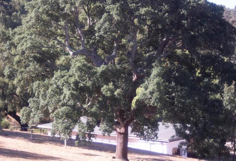 בית מלון כפרי Azibo E Restaurante