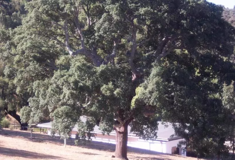 Hotelli Azibo E Restaurante