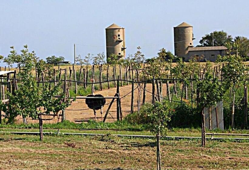 Отель B&b Corte Degli Struzzi