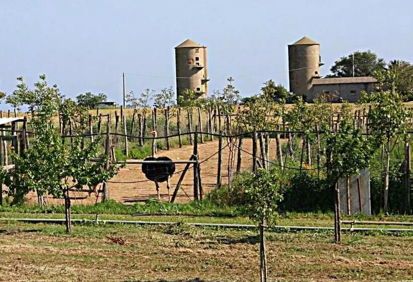ホテル B&b Corte Degli Struzzi