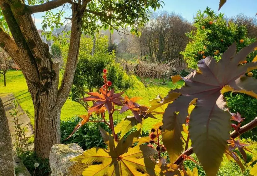 ペンション Hostal Boavista