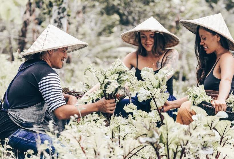 旅馆 Batukaru Eco Retreat Adults Only