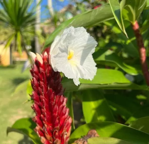 ベッドアンドブレックファースト Coco Verde Bali Resort