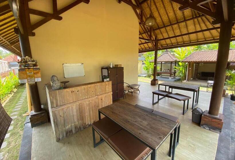 فندق Ubud Backpacker Hostel